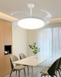 Simple ceiling fan