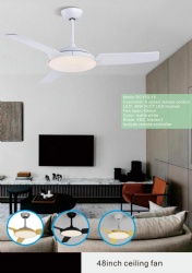 straight blade fan light