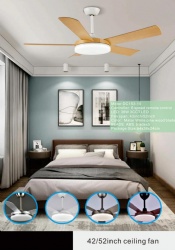 straight blade fan light